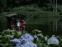 -龙苍沟森林公园