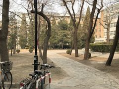 -清华大学-清芬园