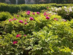-陕西师范大学(雁塔校区)
