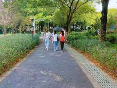 景点-东莞植物园