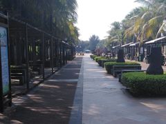 -白沙门生态公园