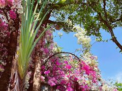 -深圳国际园林花卉博览园