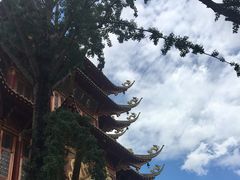 -龙潭水乡