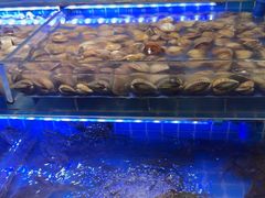 -四囍码头海鲜烧烤自助火锅(外滩南京东路悦荟广场店)