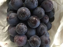 -马陆小张葡萄园农家乐