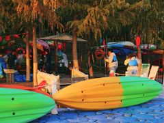 -上海海湾国家森林公园