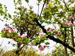 -白塘生态植物园
