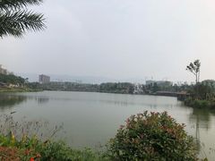 -枫香湖儿童公园