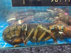 -渔码头食府(蓬莱阁店)