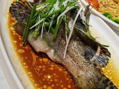 -万龙洲海鲜(南新仓店)