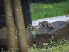 -幸福湖国际会议中心