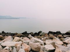 -野狸岛