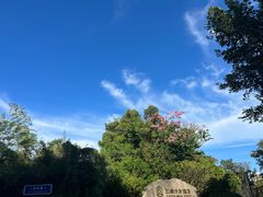 -五缘湾湿地公园