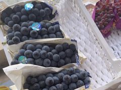 -马陆小张葡萄园农家乐