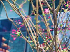 -捞王锅物料理(金城路店)