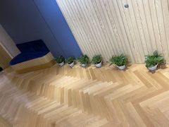 -哈沐德国际托育早教(保利城旗舰店)