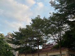 -史努比缤纷世界