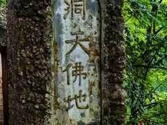-青城山