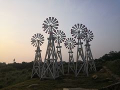 -大塘金香草谷