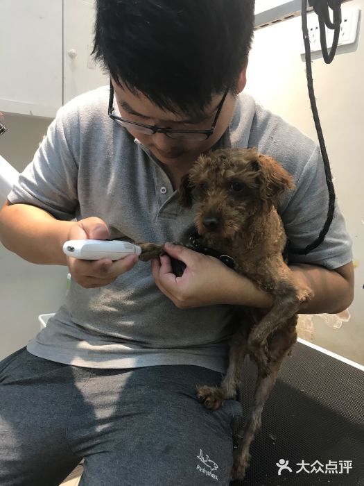 PETKIT 小佩宠物·低压洗护·美容·寄养(安远店)图片