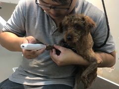 -PETKIT 小佩宠物·低压洗护·美容·寄养(安远店)