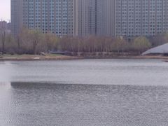 -群力丁香公园