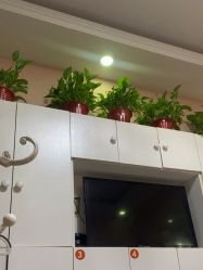 -香薇妮丝·定制减肥·身材管理