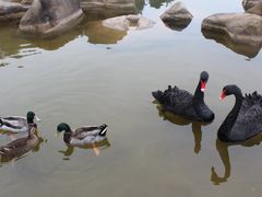 -两江国际影视城