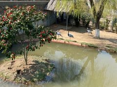 -西霞口神雕山野生动物世界