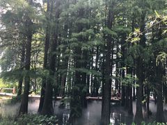 -东湖落雁景区