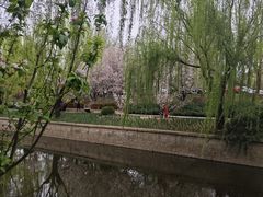 -元大都城垣遗址公园