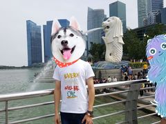 -鱼尾狮公园
