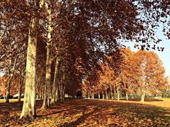 iphone_upload_pic-河南省黄河迎宾馆