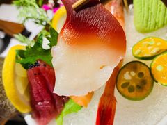 北极贝-石葵(锦业时代店)