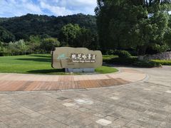 -桃花岭景区
