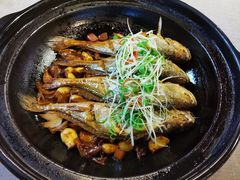 -有喜胶东小馆(太申祥和店)