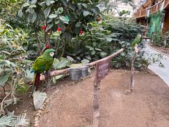 -南宫五洲植物乐园