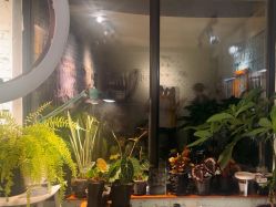 -PinooTattoo皮奴刺青纹身设计总部