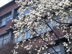 -浙江大学(玉泉校区)