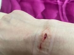 -上海市嘉定区中医医院