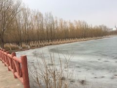-香山公园