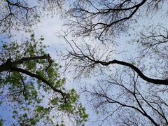 景点-玲珑塔公园