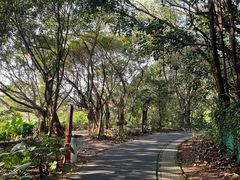 -华侨城湿地公园