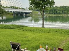-北龙湖湿地公园