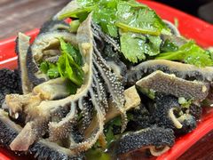 -陈记贵州遵义羊肉粉·酸汤鱼(法华镇路店)