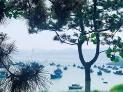 -海源公园