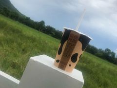 -瑞穗牧场
