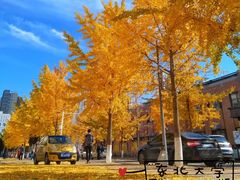 -东北大学(南湖校区)
