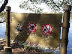 -东湖落雁景区