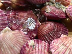 -龍歌自助小火锅(城阳万象汇店)